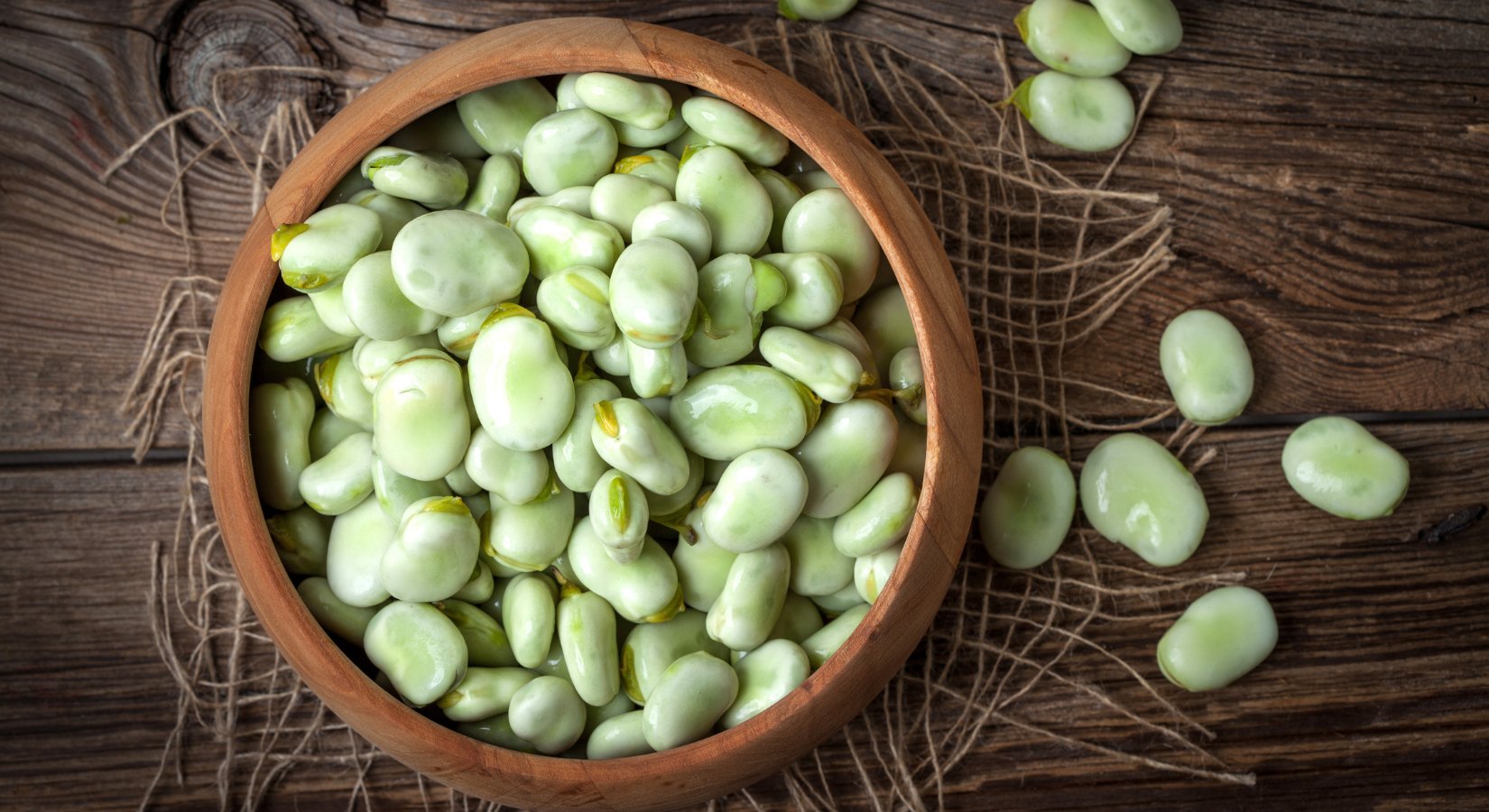 Are You Missing Out on Broad Beans?