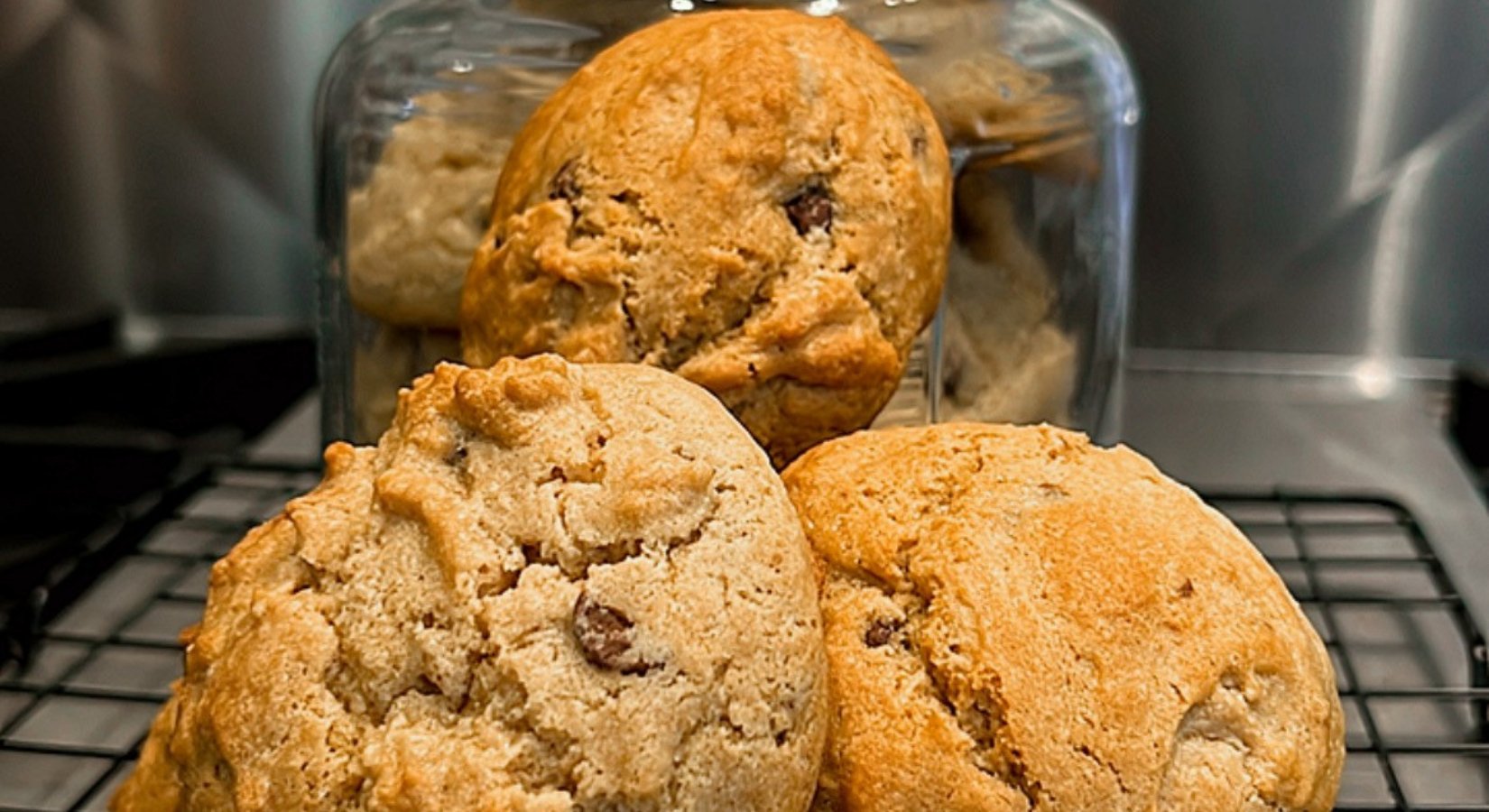 The Best Gluten-Free Peanut Butter • Chocolate Chip Protein Cookies