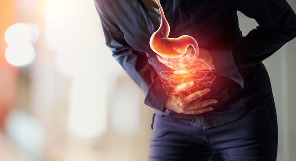 Understanding Your Stomach: A Guide to Gut Health - insidefitnessmag.com