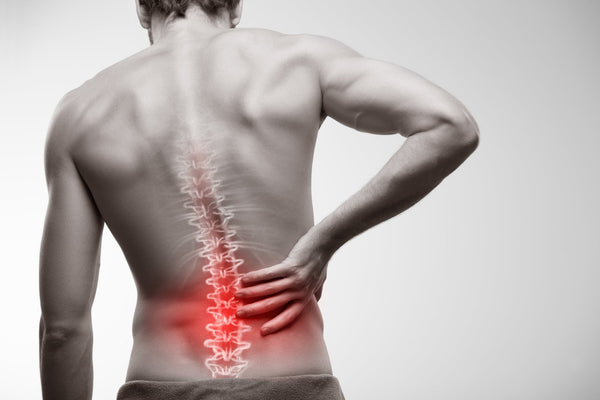 4-Simple Exercises to Treat Lower Back Pain - insidefitnessmag.com