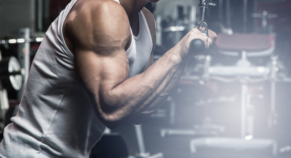 Add 1.5” to Your Biceps in 1 Month! - insidefitnessmag.com