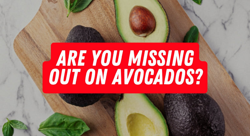 Are You Missing Out on Avocados? - insidefitnessmag.com