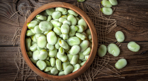 Are You Missing Out on Broad Beans? - insidefitnessmag.com