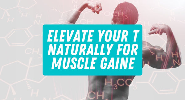 Elevate your T Naturally for Muscle Gain - insidefitnessmag.com