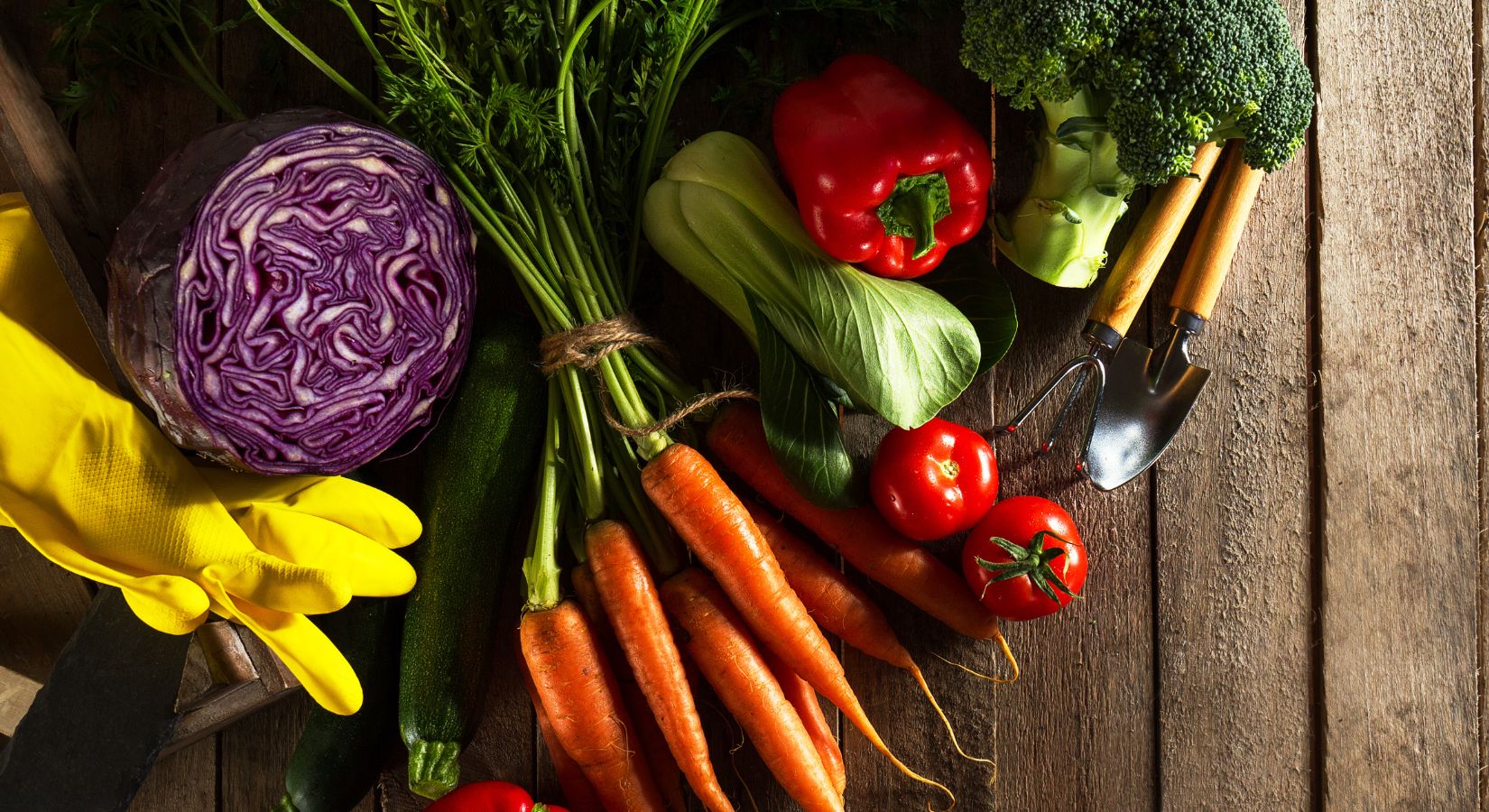 Fuel Your Digestive Health: Some Of The Best Vegetables to Eat - insidefitnessmag.com