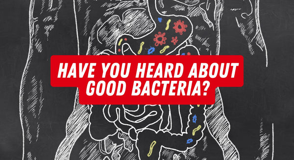 Have You Heard About Good Bacteria? - insidefitnessmag.com