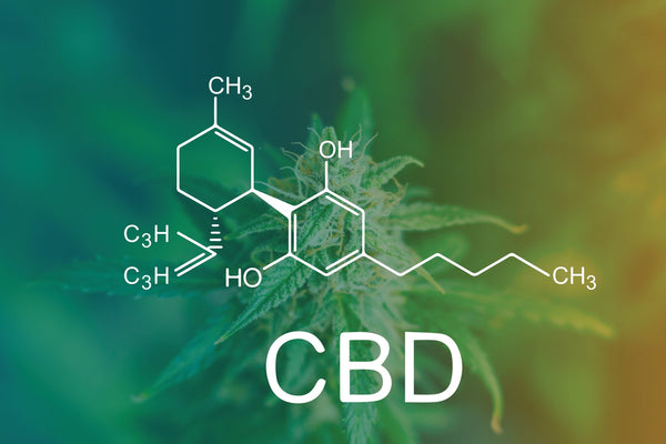 How Can CBD Boost Your Training and Recovery? - insidefitnessmag.com