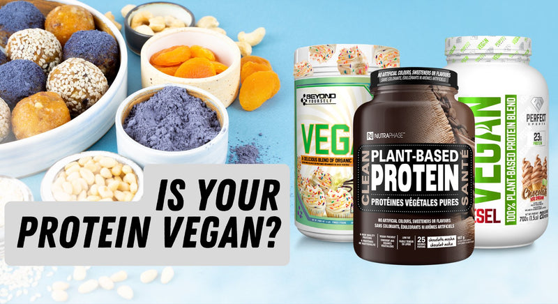 Is Your Protein Vegan? - insidefitnessmag.com