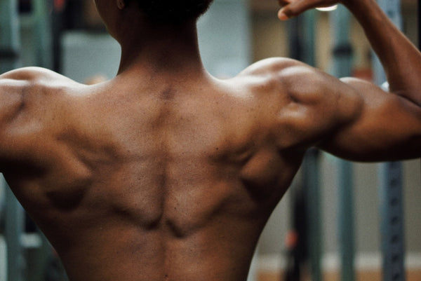 Your Guide to Pain-Free Shoulder Exercises - insidefitnessmag.com